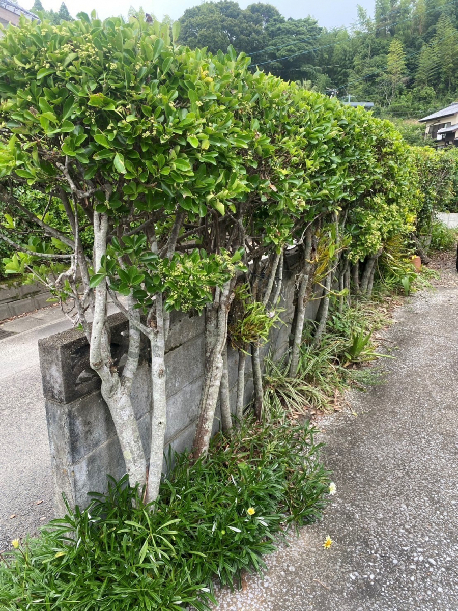 フェニックストーヨー住器の【フェンス】安心・快適なお庭に!の施工前の写真2