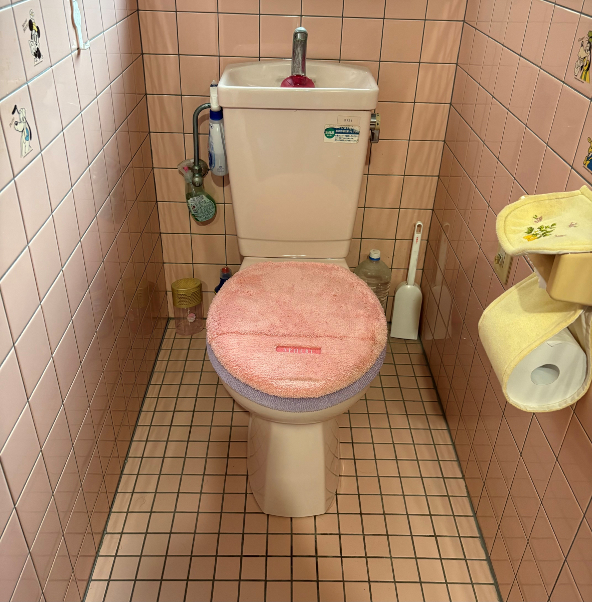 フェニックストーヨー住器の【戸建フルリフォーム④】トイレも居心地良い空間にの施工前の写真3
