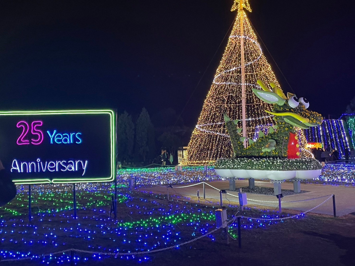 Xmas　イルミネーション 水島アルミトーヨー住器のブログ 写真1