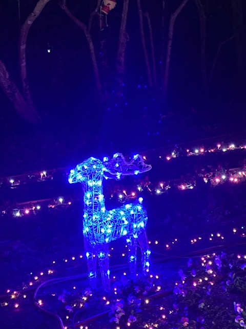 冬のライトアップ 水島アルミトーヨー住器のブログ 写真1