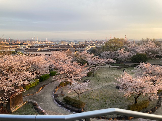 夕日と桜 水島アルミトーヨー住器のブログ 写真1