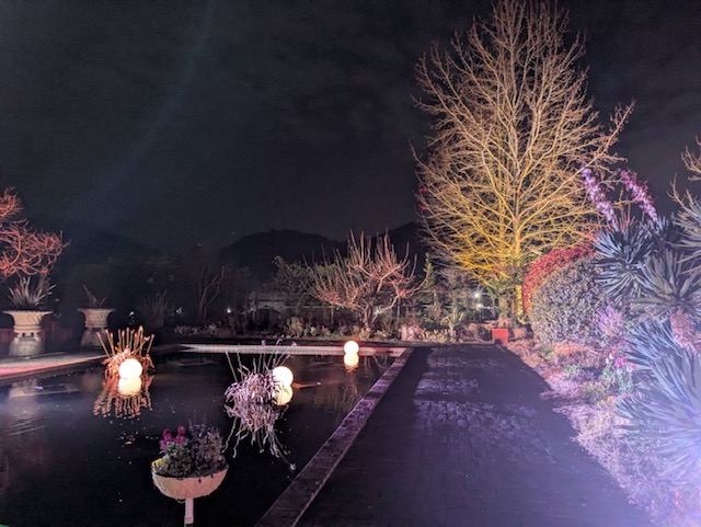 冬のライトアップ 水島アルミトーヨー住器のブログ 写真2