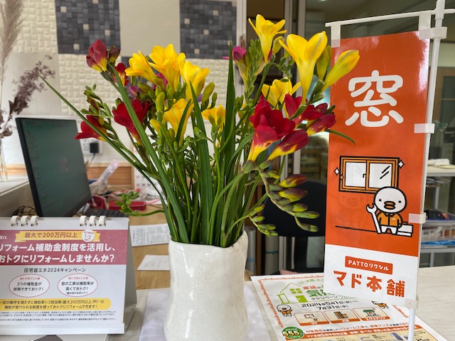 フリージア🌼 大西アルミ建材 京丹後店のブログ 写真1