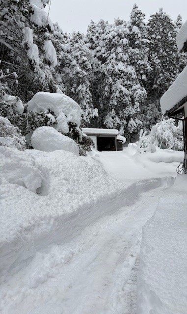 大雪❄️ 大西アルミ建材 京丹後店のブログ 写真1
