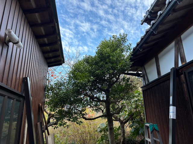 大西アルミ建材 京丹後店の快適スペース出来ましたの施工前の写真2