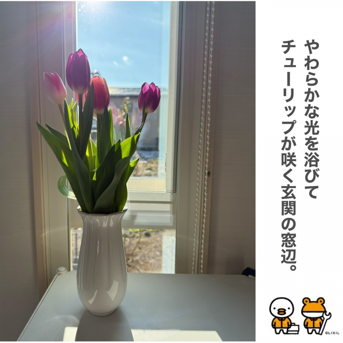 タケダアルミ建材の【インプラス】玄関の寒さ対策に内窓設置の施工後の写真2