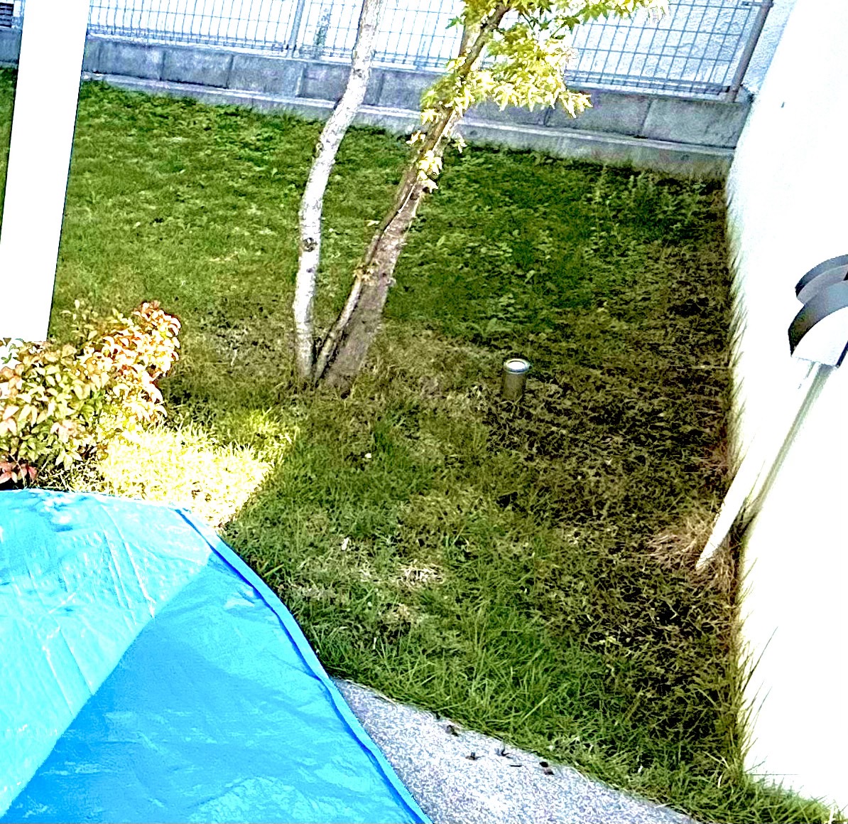 ガーデンリフォーム 大山硝子のブログ 写真6