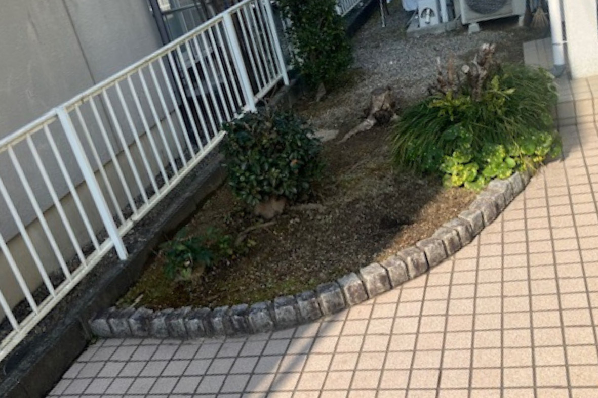 サンセブンのネスカFカーポート設置｜駐車スペースと雑草対策を同時に解決の施工前の写真2