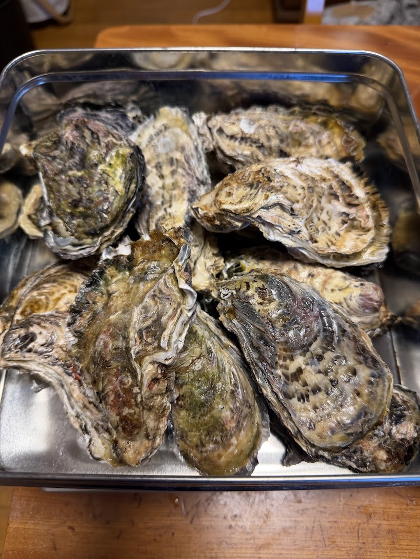 愛南町の牡蠣をいただきました。 土佐トーヨー住器のブログ 写真1