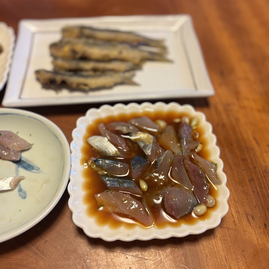 マグロの新子　ヨコワ 土佐トーヨー住器のブログ 写真4