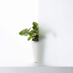 三輪ガラスの【豊田市・外からの見え方も気にして】浴室防犯と視線対策！LIXIL乳白タイプを選んだ決定的理由とは？の施工事例詳細写真3