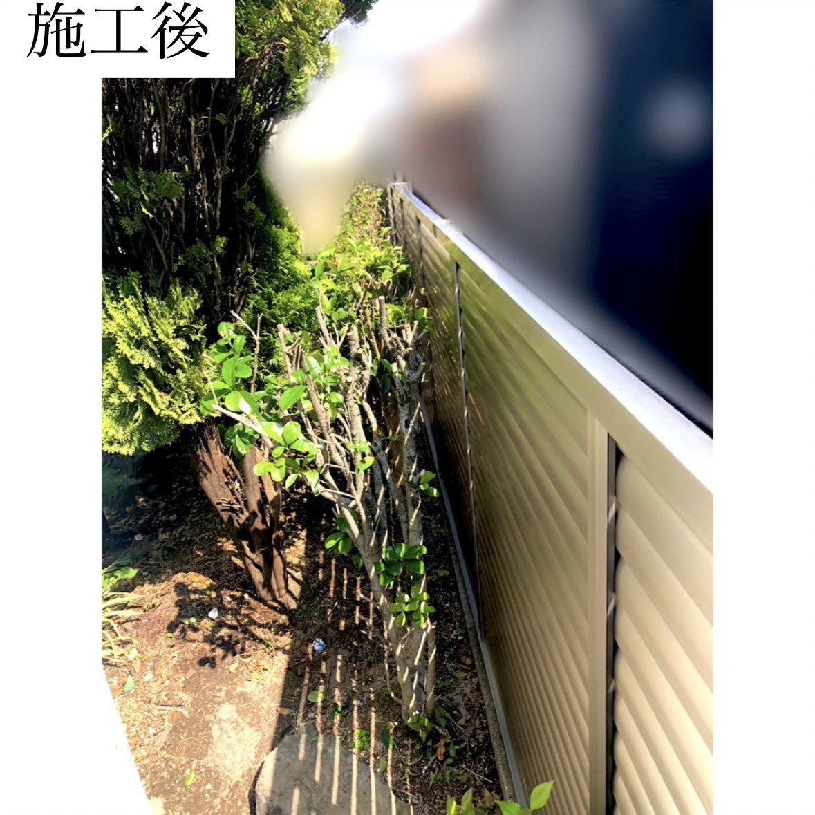 三輪ガラスの【名古屋市】お隣様への配慮。目隠し、台風対策、色んな対策ができます😏の施工後の写真1