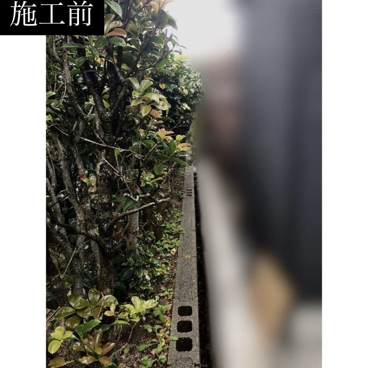 三輪ガラスの【名古屋市】お隣様への配慮。目隠し、台風対策、色んな対策ができます😏の施工前の写真1