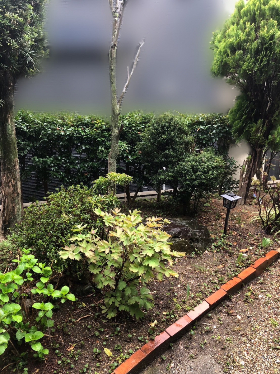 三輪ガラスの【名古屋市】お隣様への配慮。目隠し、台風対策、色んな対策ができます😏の施工前の写真2