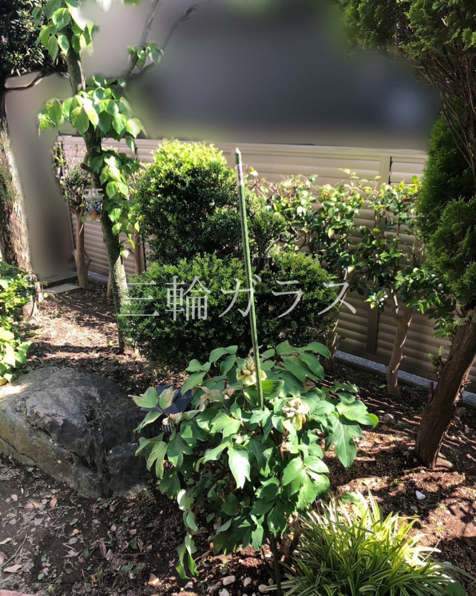 三輪ガラスの【名古屋市】1Dayでお庭のプライバシー解決！LIXILフェンスABで目隠しリフォーム事例の施工後の写真2