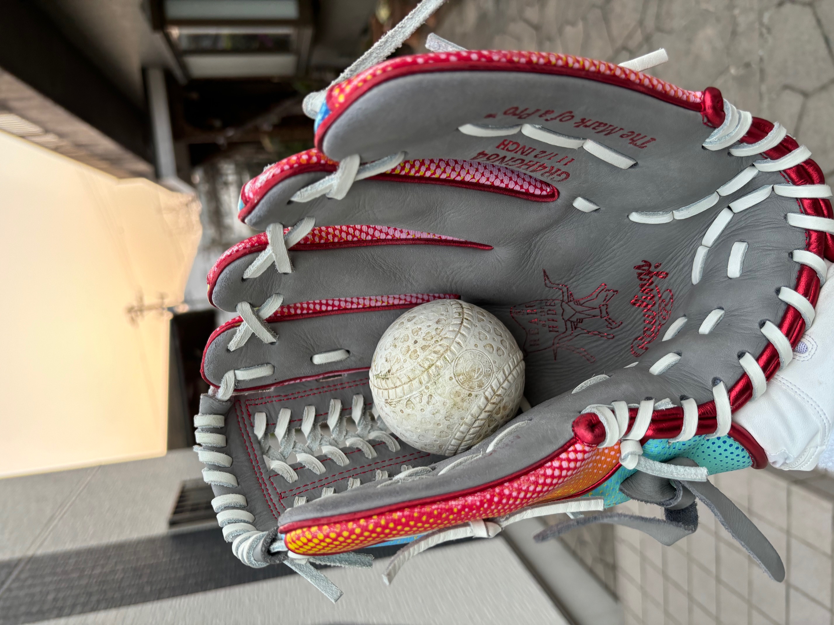 趣味⚾ とりい建具のブログ 写真3