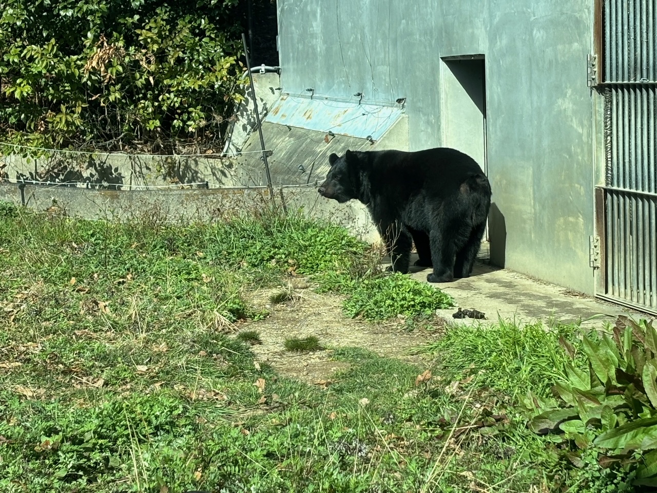 休日。 とりい建具のブログ 写真6