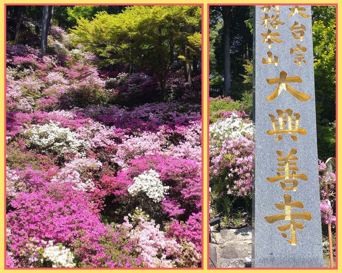 大興善寺【つつじ寺】 ワタヤサイズのブログ 写真1