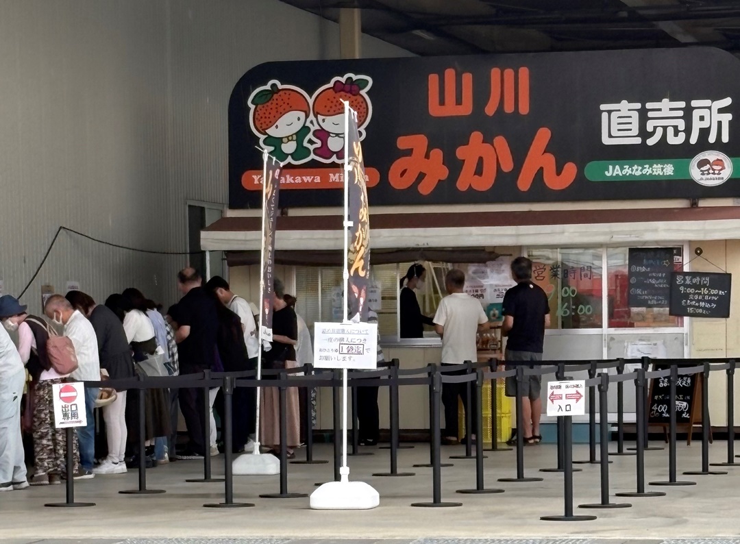 みかんの詰め放題 ワタヤサイズのブログ 写真1