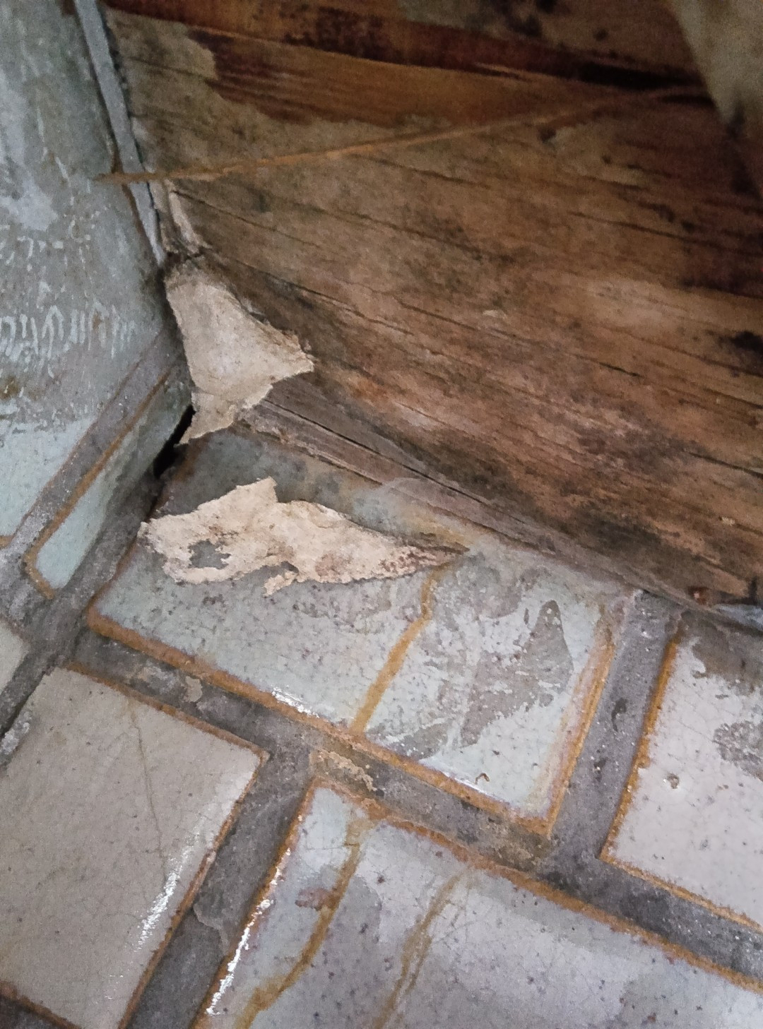 スリースターの京都市右京区 会社事務所のガラスビートの交換の施工前の写真3