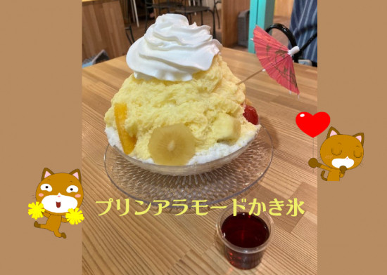 次のブログ