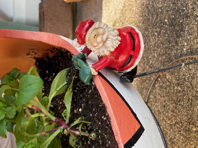 ☆Merry☆Christmas☆・・・☆ 新光堂のブログ 写真9