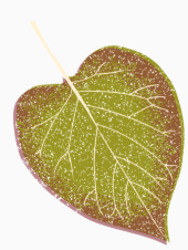 入る隙なし LIXIL　窓・ドアリフォーム　防犯編 新光堂のブログ 写真6