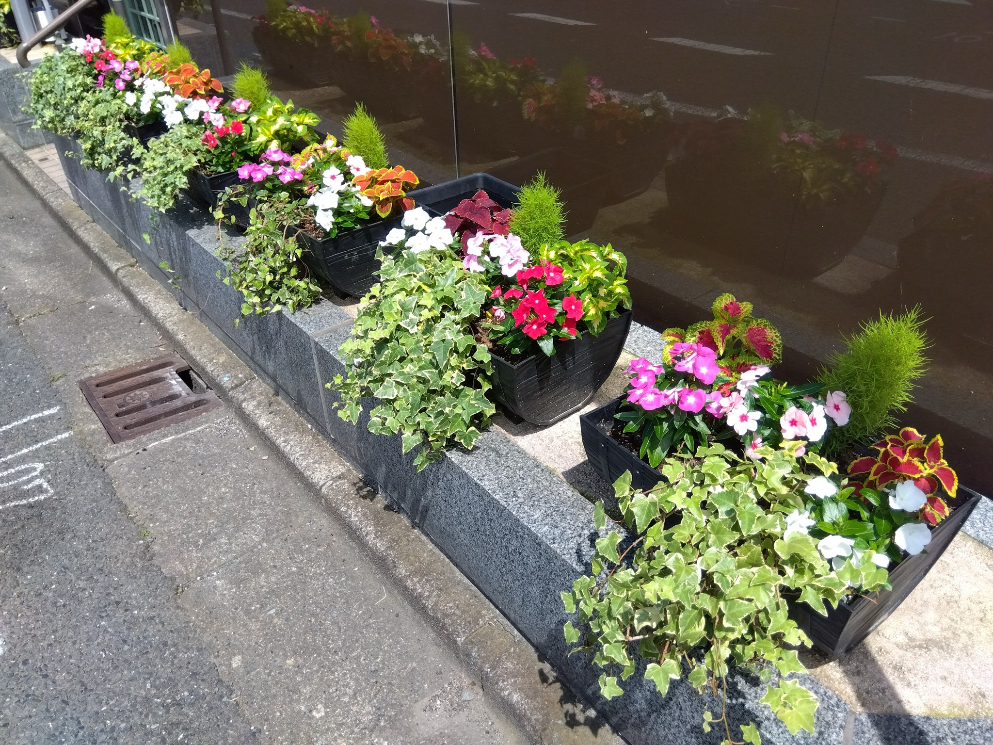 お花が新しくなりました! パートナー鷹取店のブログ 写真1
