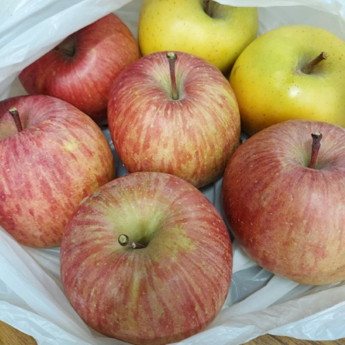 採れたていただきました！！ まどありー。本庄本店のブログ 写真1