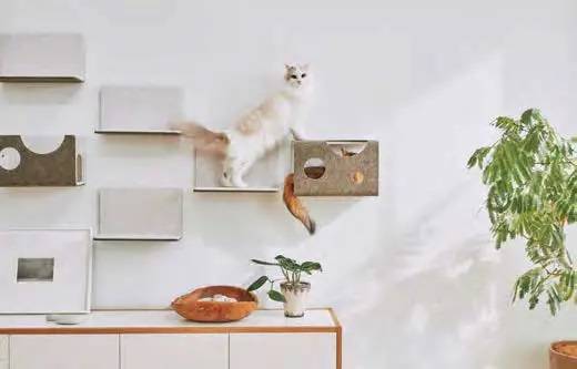 にゃんこ好きにはたまらない壁面キャットウォーク　LIXIL『猫壁（にゃんぺき）』のご紹介 ダルパのブログ 写真1