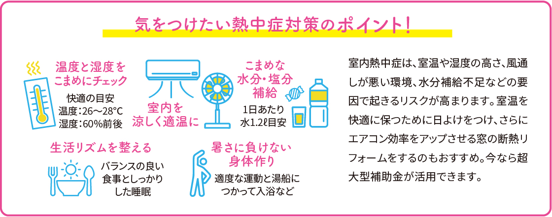 6月が危険！室内で起きる熱中症今からできる対策を紹介 ダルパのブログ 写真2