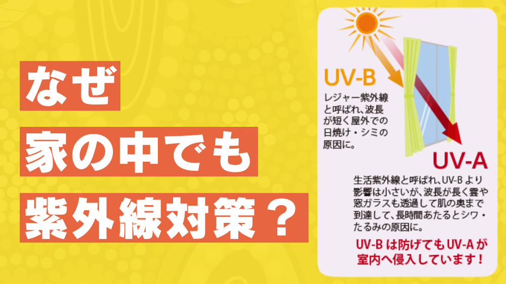 家の中にいても紫外線対策は必須！紫外線の危険性と効果的な対策 ダルパのブログ 写真2