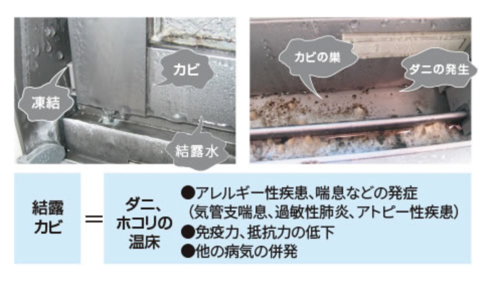 ダルパの風除室を後付けしておしゃれで機能的な玄関へ！リクシル風除室施工例の施工事例詳細写真6