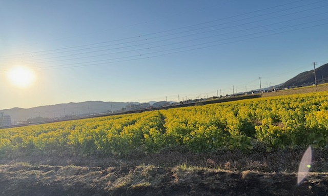 春が来た!! 鶴谷トーヨーテックのブログ 写真2