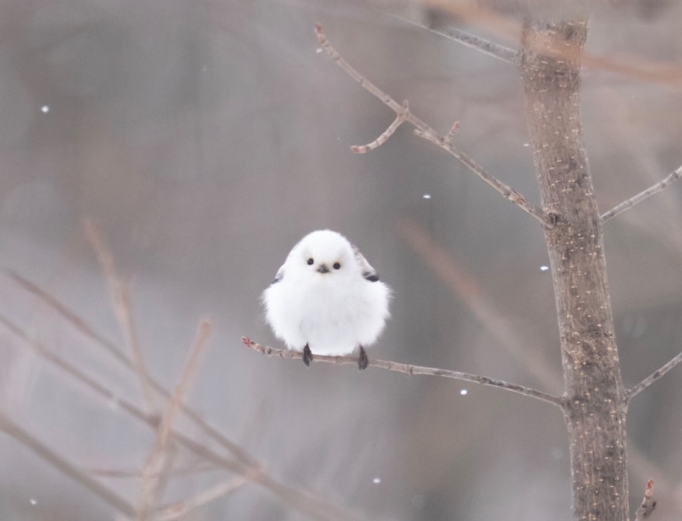 今年も一年ありがとうございました。 鶴谷トーヨーテックのブログ 写真1