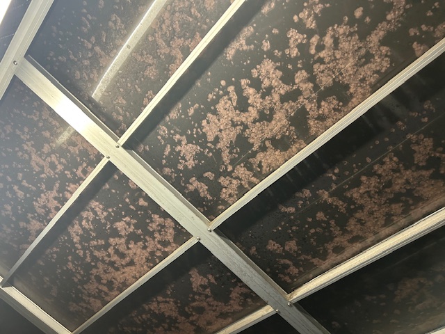 ヒョウが降って来た!! 鶴谷トーヨーテックのブログ 写真1