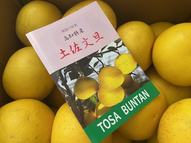 🍊文旦が届きました～🍊 鶴谷トーヨーテックのブログ 写真1