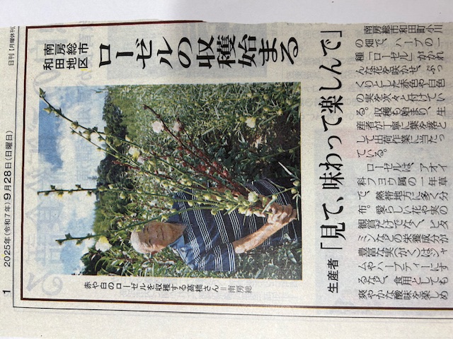 ローゼル??? 鶴谷トーヨーテックのブログ 写真4