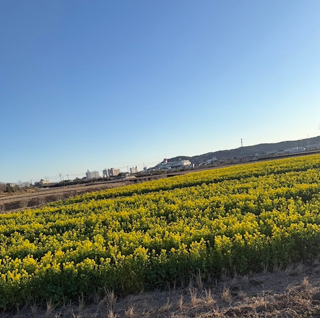 春が来た!! 鶴谷トーヨーテックのブログ 写真3