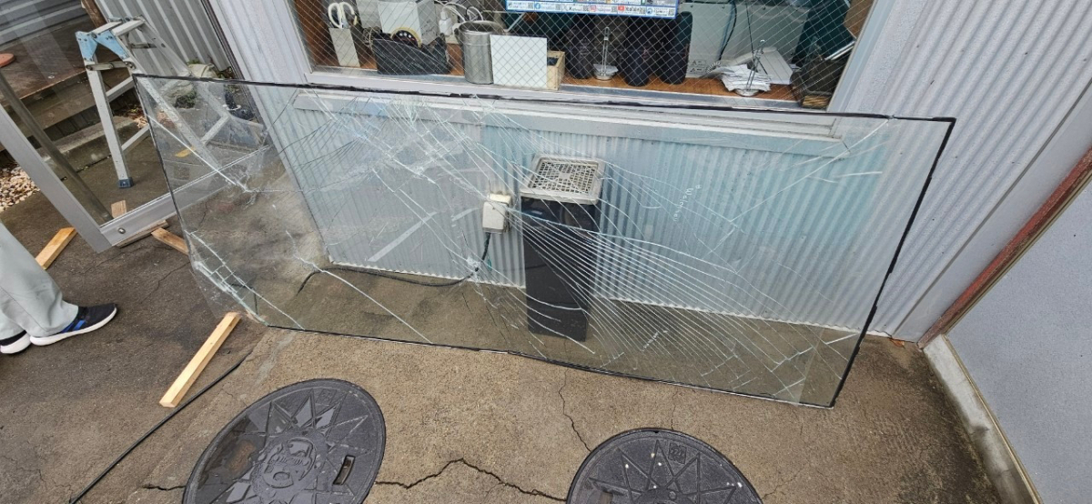 鶴谷トーヨーテックの店舗出入口ドア　耐熱強化ガラス(パイロクリア)交換の施工前の写真3