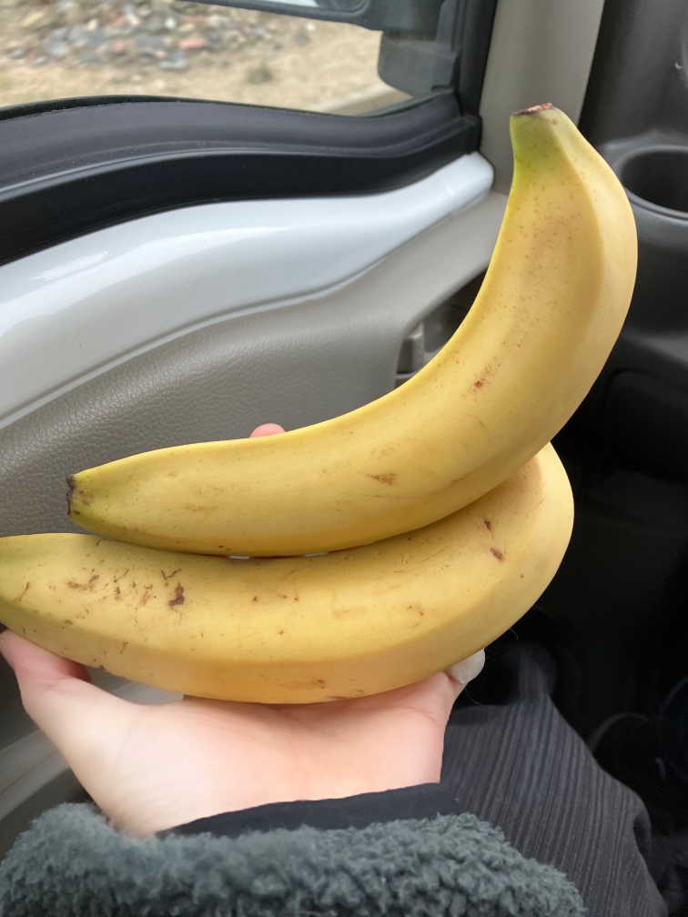 お客さんからバナナをもらいました🍌 REマド本舗 出雲店のブログ 写真2