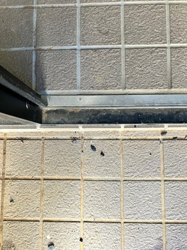 相川スリーエフ 八街店の【八街市】木を感じる玄関で防犯対策もの施工前の写真2