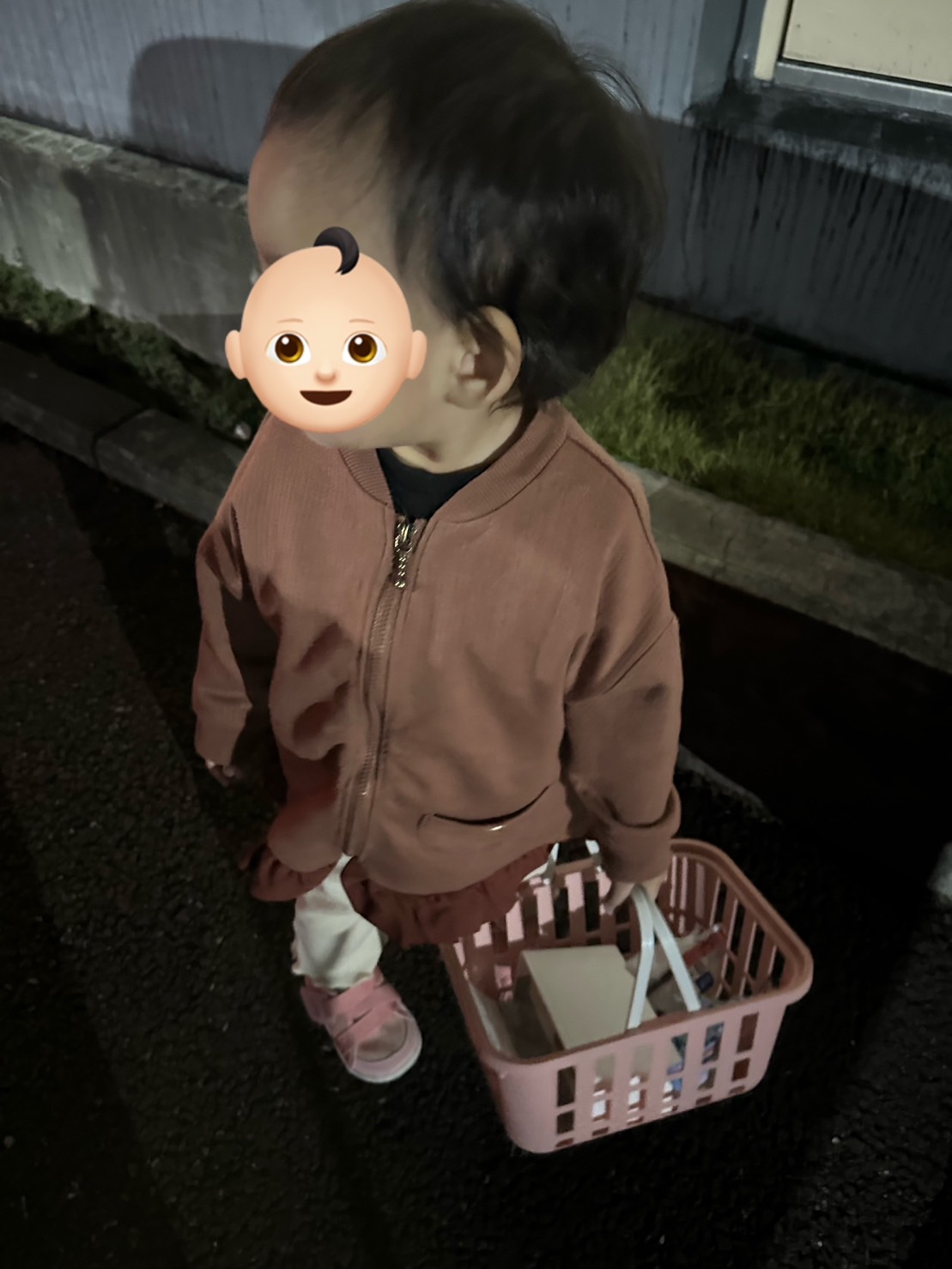 お手伝い エコプロのブログ 写真1