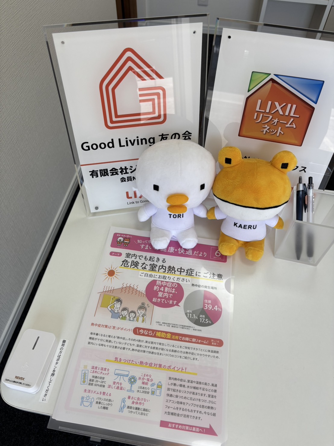 来店用の店舗が完成しました!! エコプロのブログ 写真2