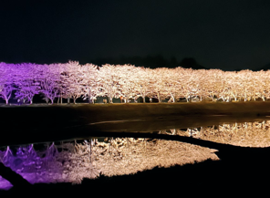 桜🌸 江﨑のブログ 写真2