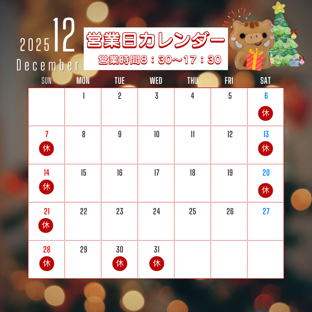 ⛄12月カレンダー⛄ イガリアルミトーヨー住器のブログ 写真1