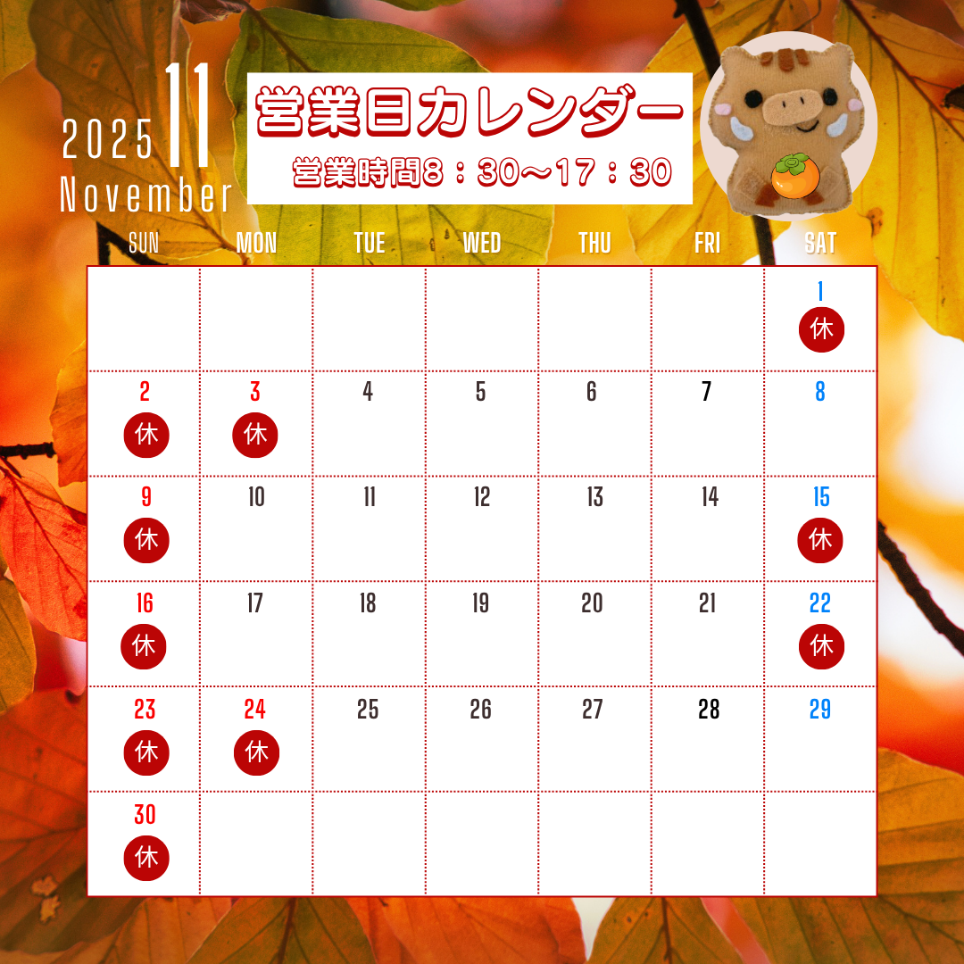 🍂11月カレンダー🍂 イガリアルミトーヨー住器のブログ 写真1