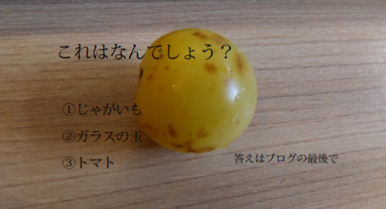 次のブログ