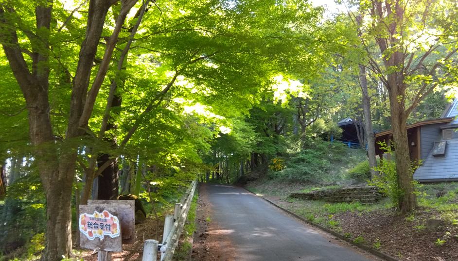 電気代節約のカギは窓の断熱リフォームです!! 長野板販のブログ 写真1