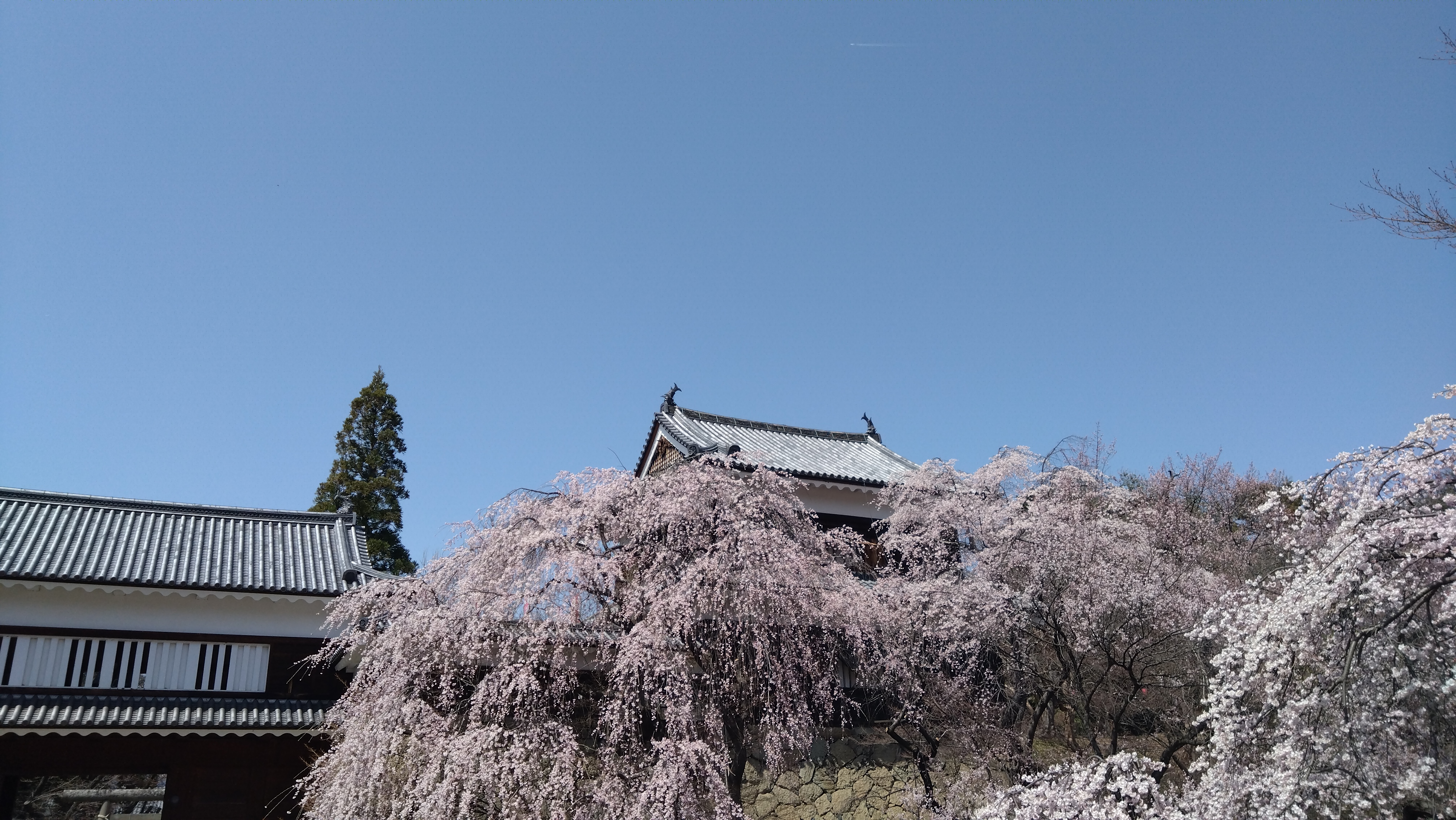 地元の優良企業🕋インタビューが掲載されました！ 長野板販のブログ 写真1